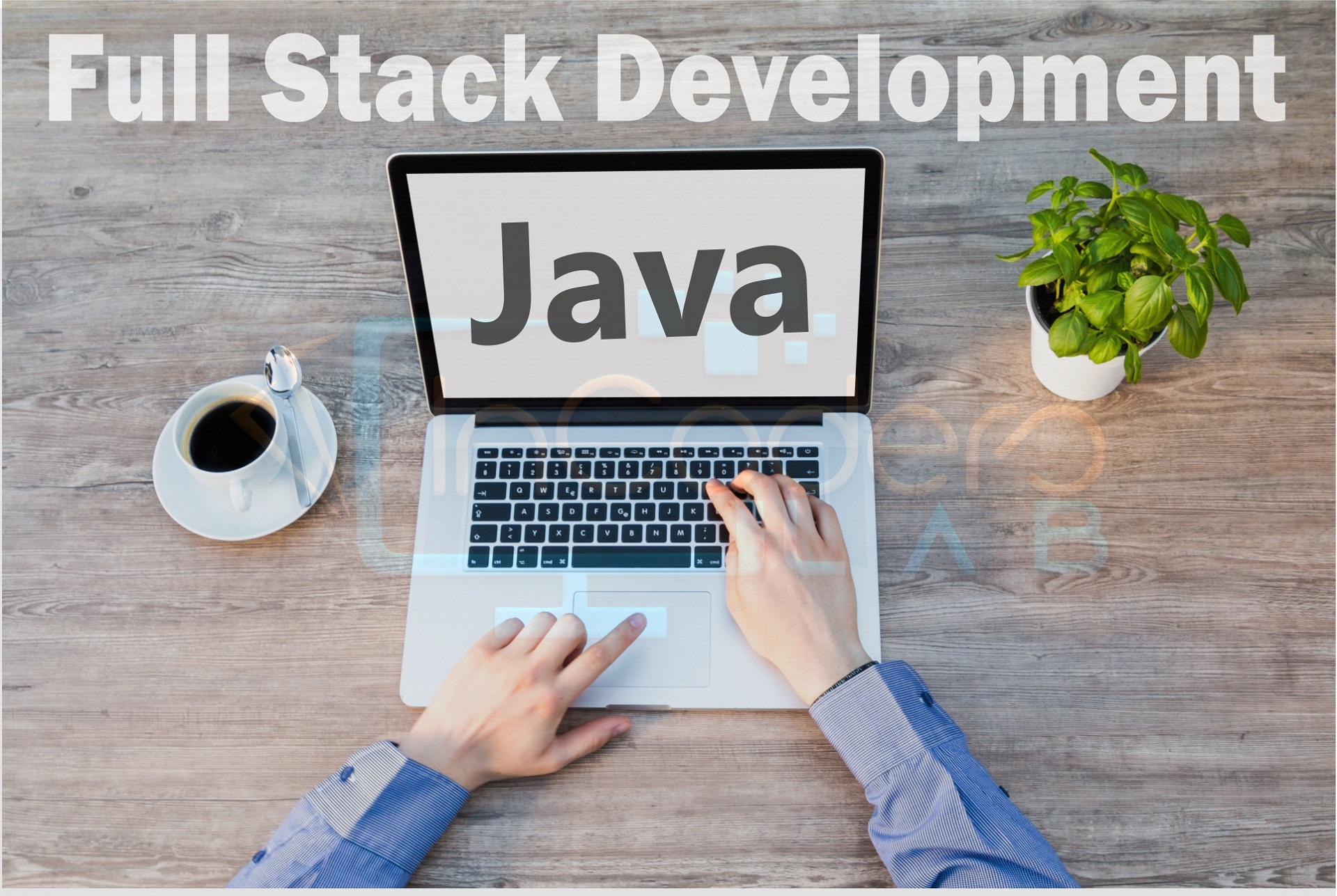 Full Stack java development